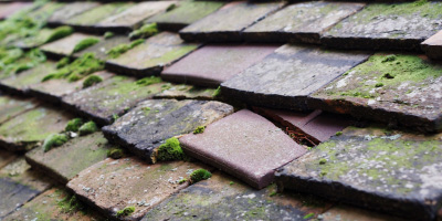 Cyncoed roof repair costs